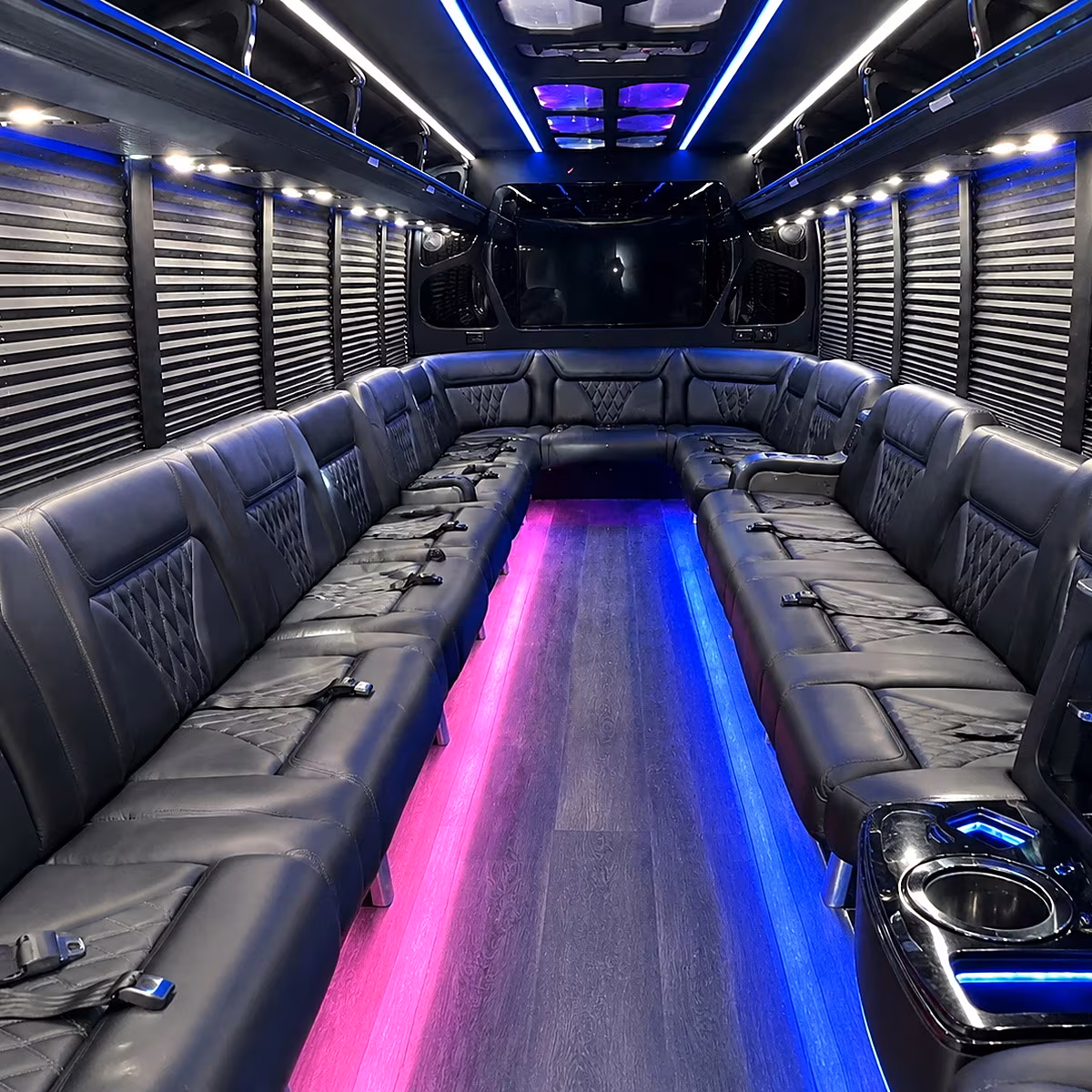 south fulton night out party bus rental